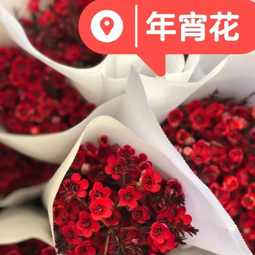 年宵花家庭水养插花腊梅鲜花批发云南昆明基地直发澳洲腊梅鲜切花