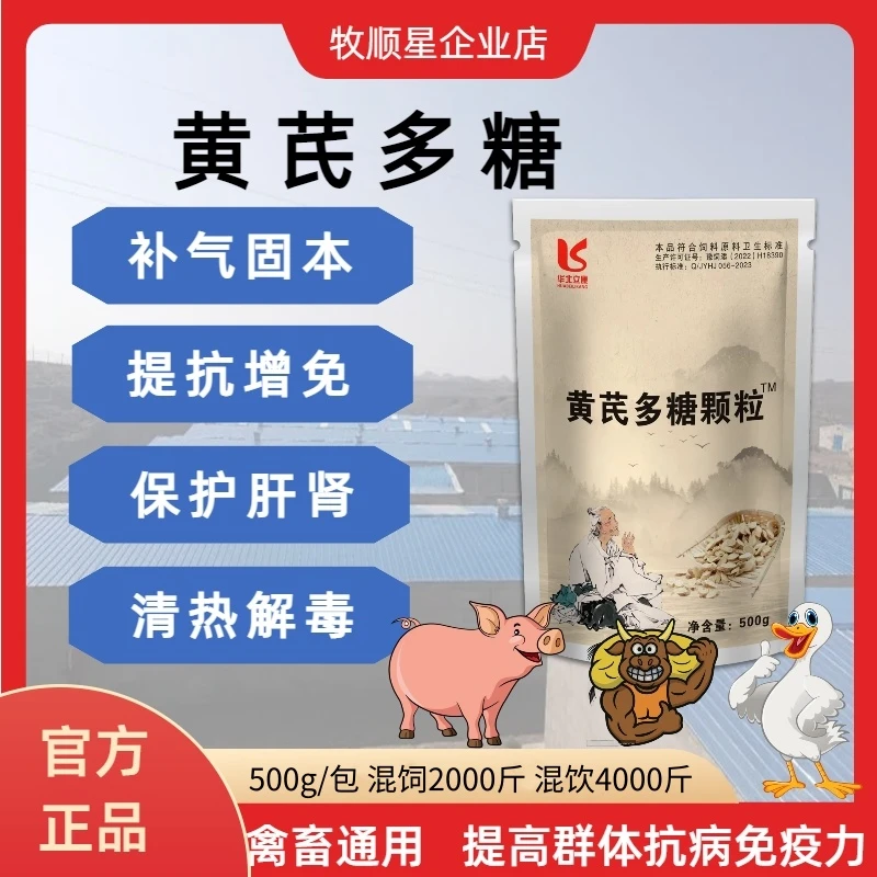 兽用黄芪多糖真黄芪产品抗病补气抗应激增强免疫猪牛羊禽孕畜使用