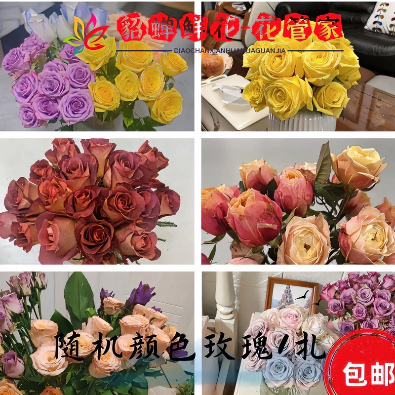 鲜花 15支+5支防损调香师玫瑰 不支持已发货退款