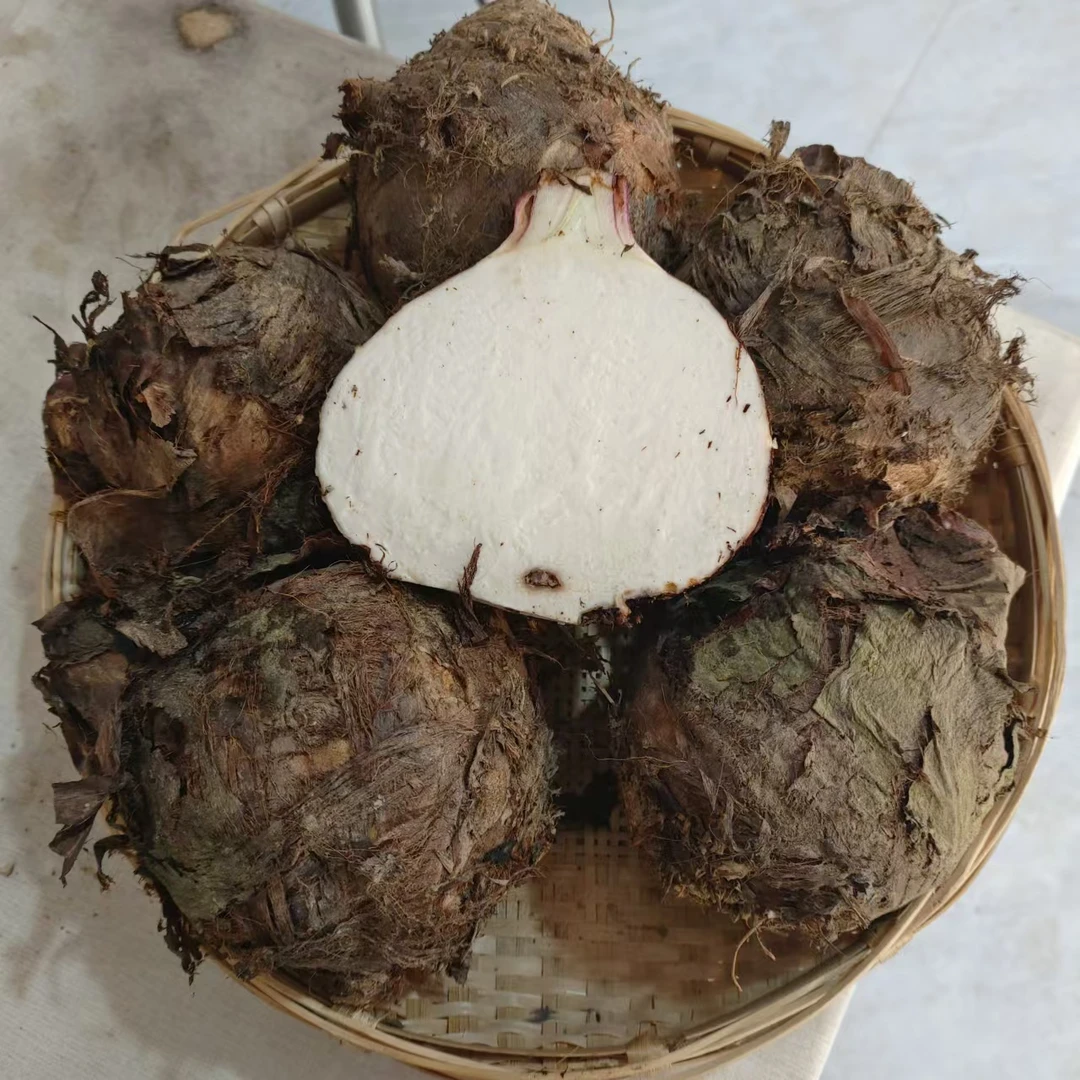 3斤 云南大芋头  粉糯口感 现挖现发 损坏包赔 zm