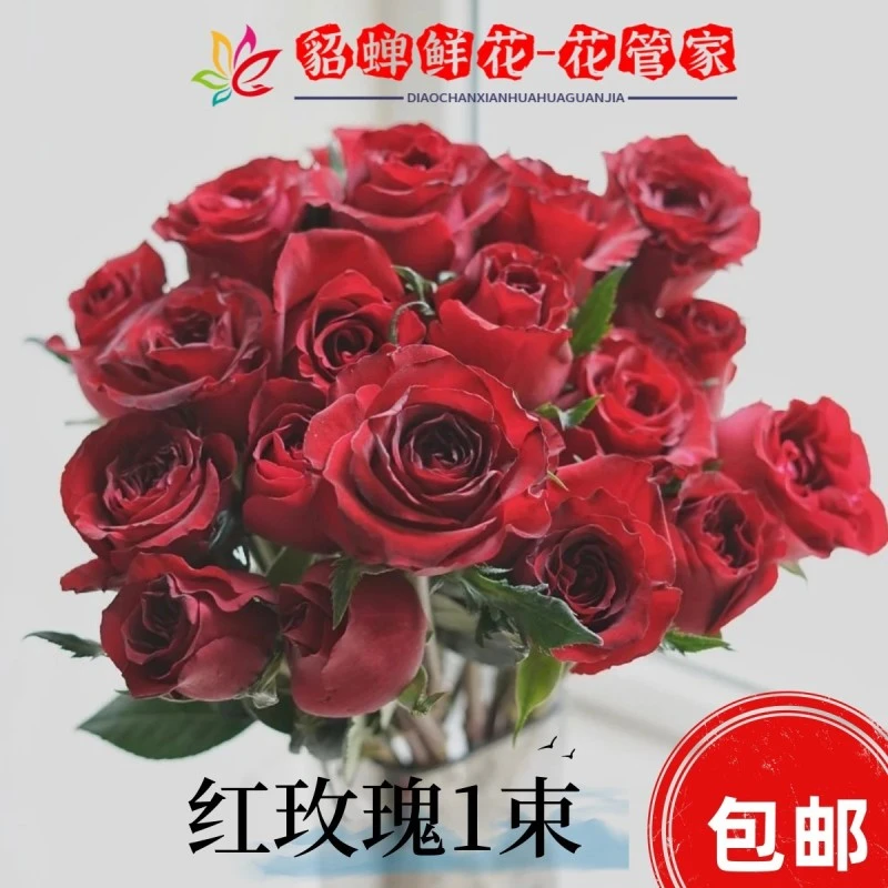 鲜花   55支卡罗拉红玫瑰 不支持已发货退款 鲜花