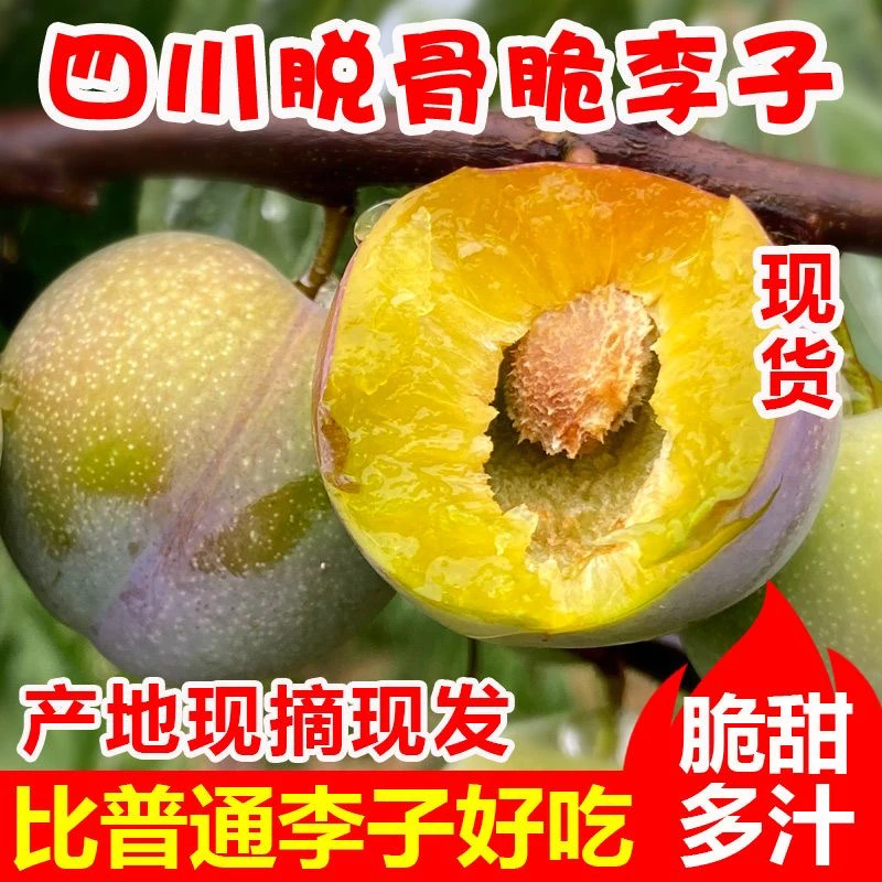 T四川茵红李脱骨李半边红李子脆甜李子新鲜水果整箱1-5斤包邮T