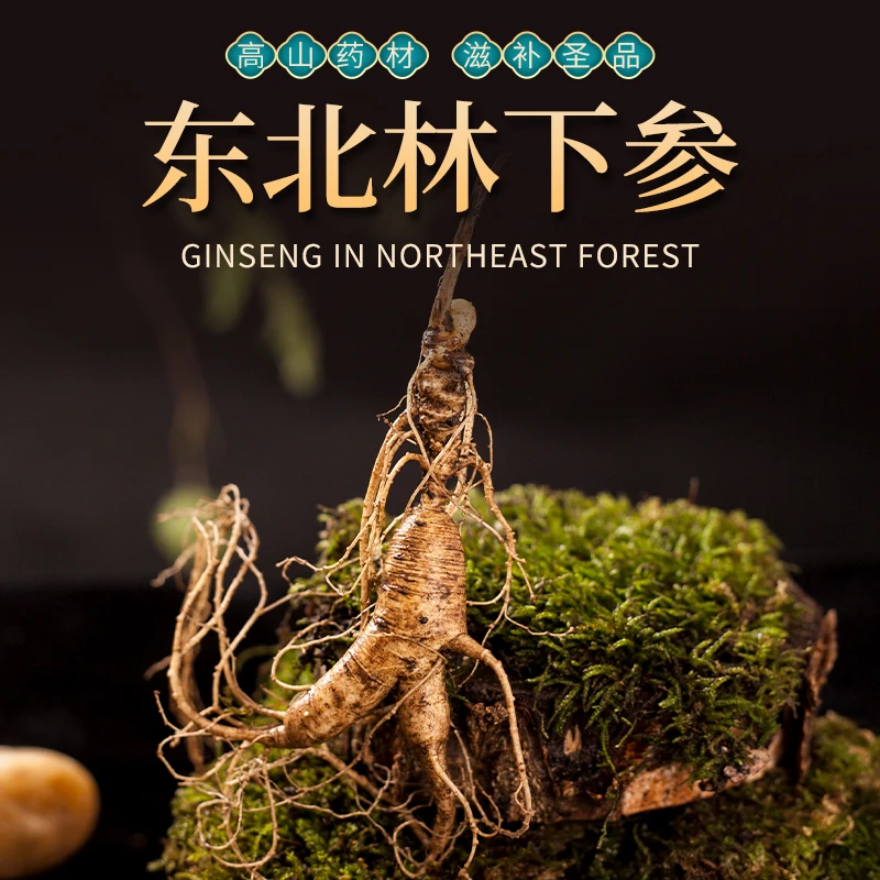 墨忧笙东北林下参鲜参泡酒、煲汤、切片均可