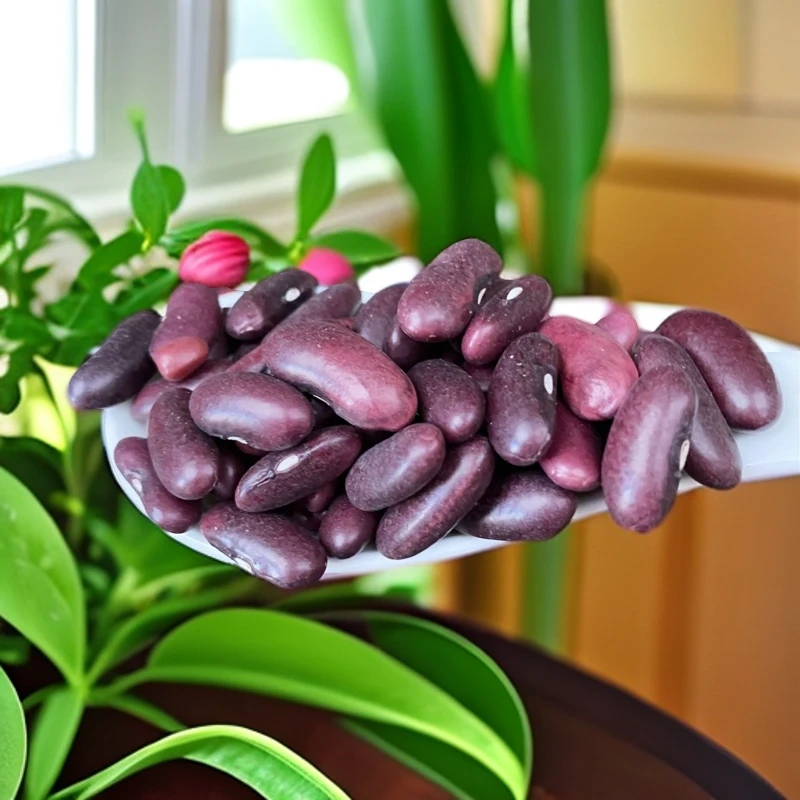 云南山货红豆无农药