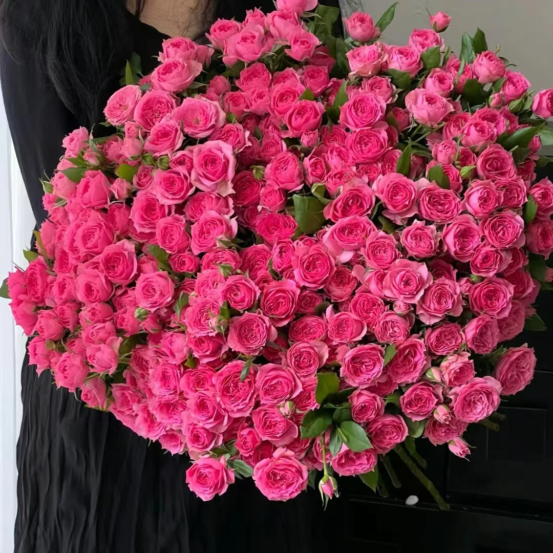 【源头优选】苏菲宝贝多头玫瑰-任意2单鲜花包邮 发货后不支持退款