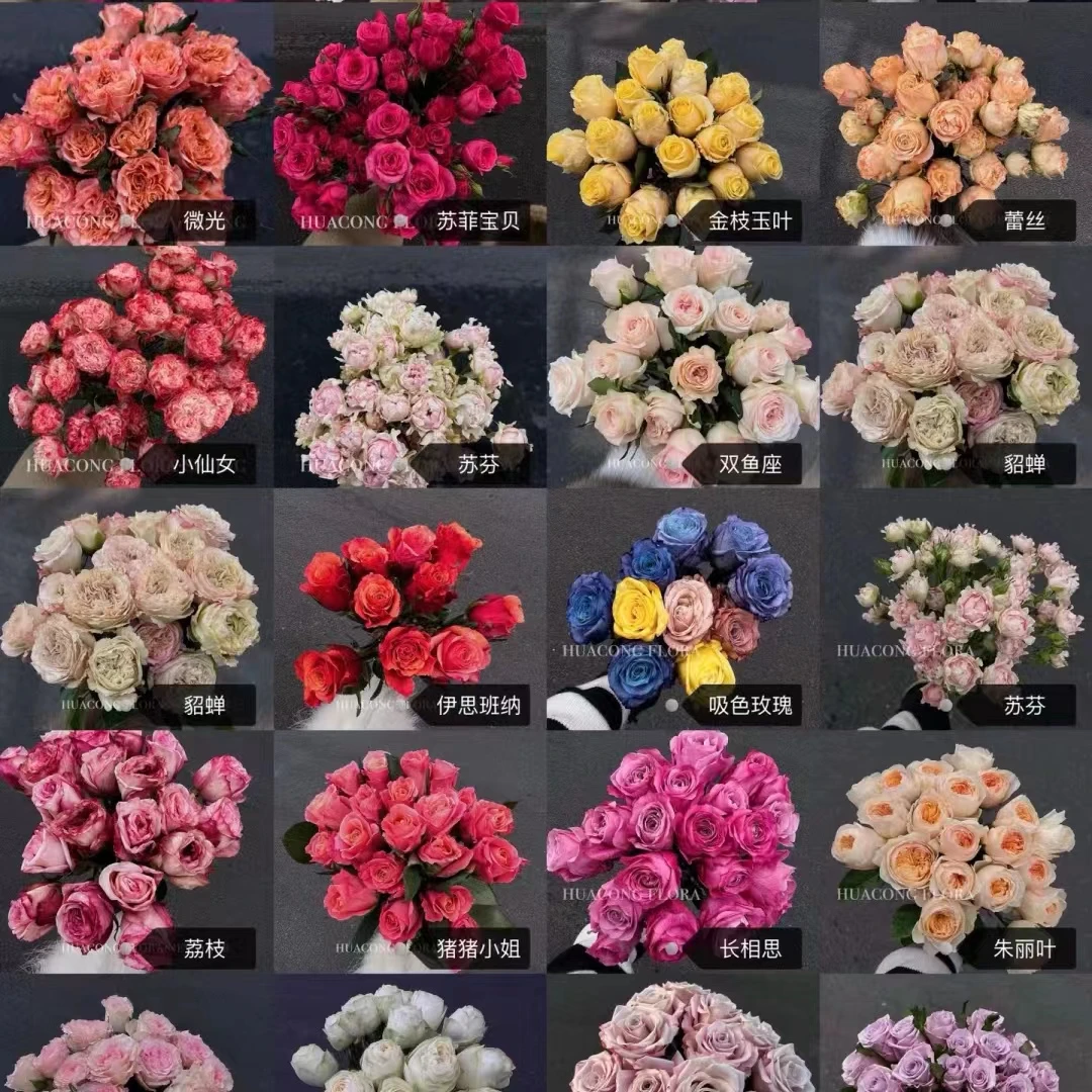 【源头优选】玫瑰-任意2单鲜花包邮 发货后不支持退款