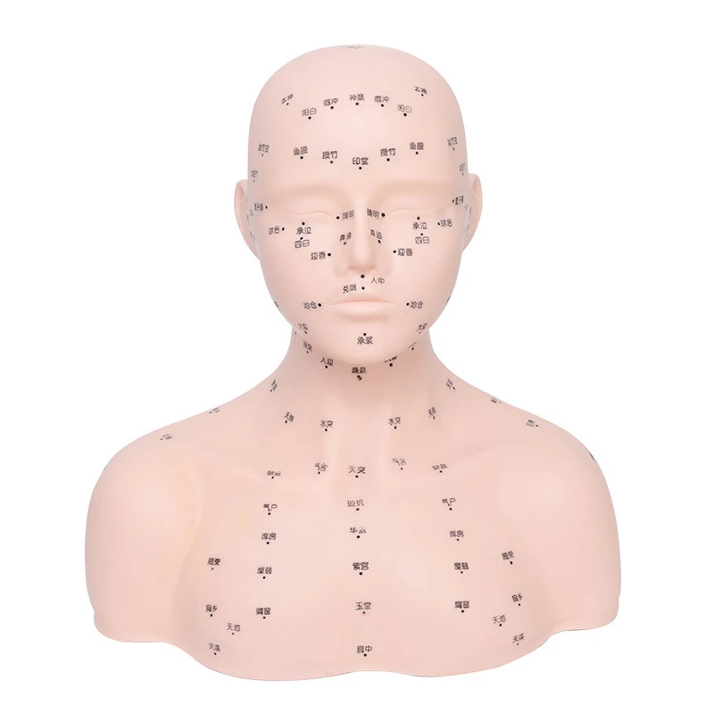 头模特美容院练习手法假人头新手学习模具头