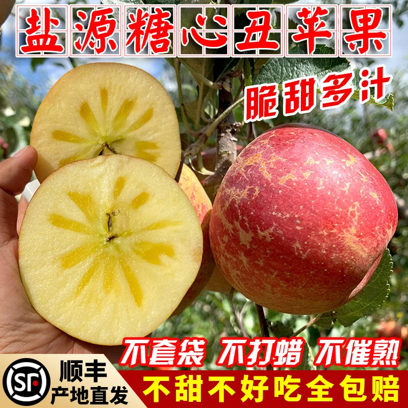 【大雄自营-坏果包赔】正宗盐源糖心丑苹果新鲜现摘当季水果5斤/8斤