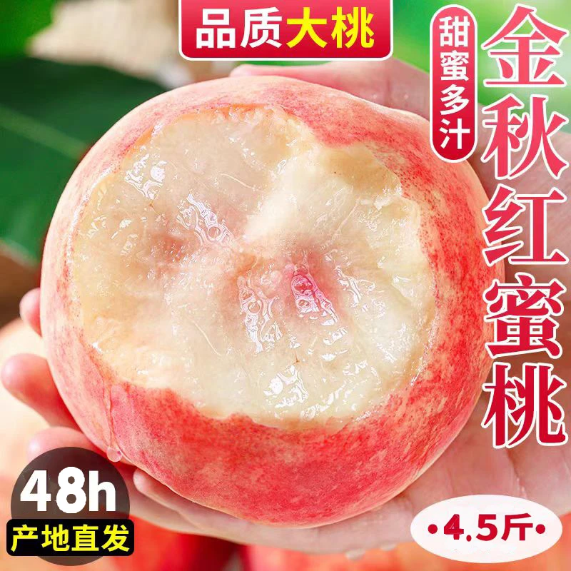 【大雄自营-京东包邮】山东蒙阴金秋红蜜桃脆甜毛桃4.5斤秋桃现摘