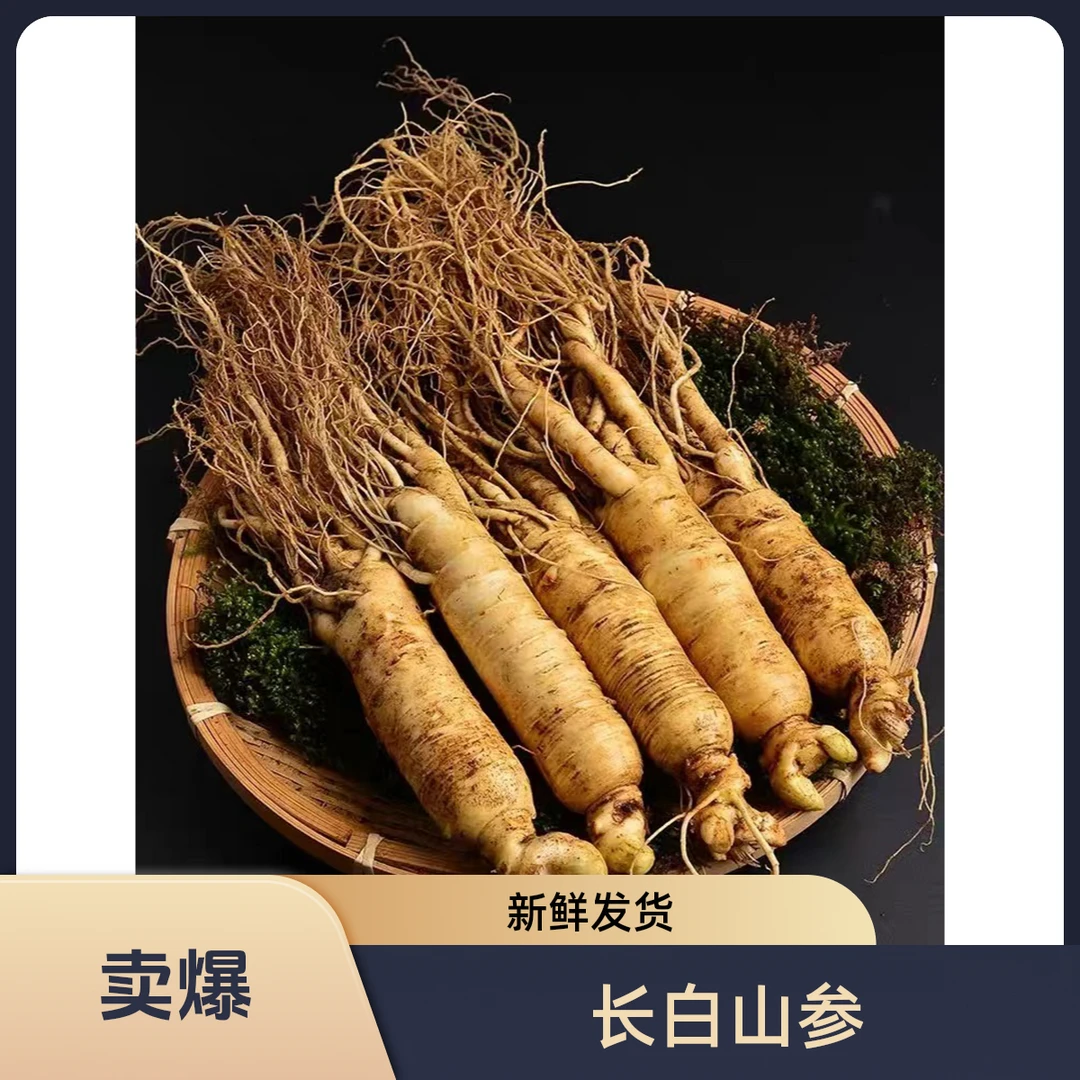 长白山鲜人参 5支一盒 泡酒煲汤 蒸红参做蜜片
