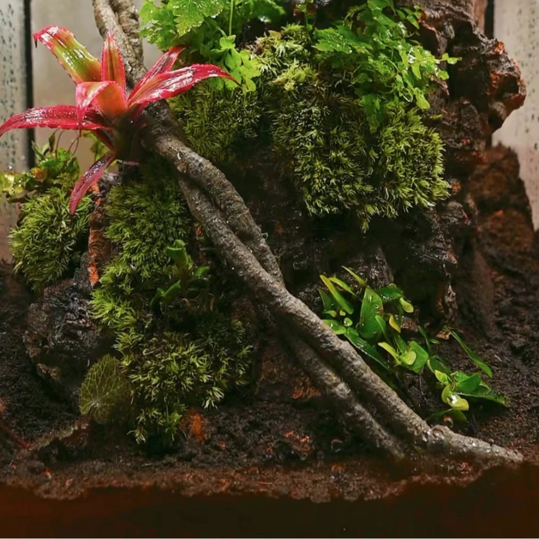 PVC爬宠雨林缸造景爬藤仿真树藤藤蔓