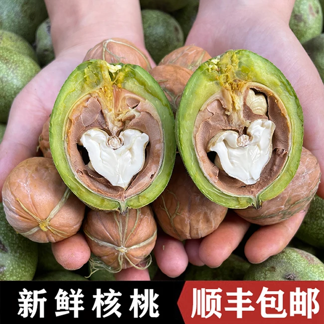 【顺丰包邮】陕西秦岭老树核桃2024新鲜采摘湿核桃去青皮鲜核桃3斤