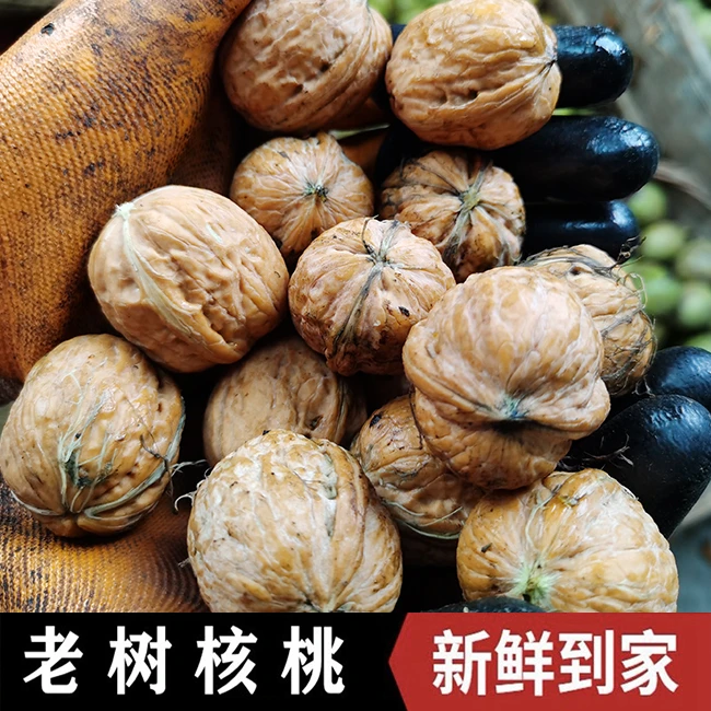 2025陕西秦岭老树核桃新鲜采摘去青皮鲜核桃孕妇1斤3斤5斤8斤
