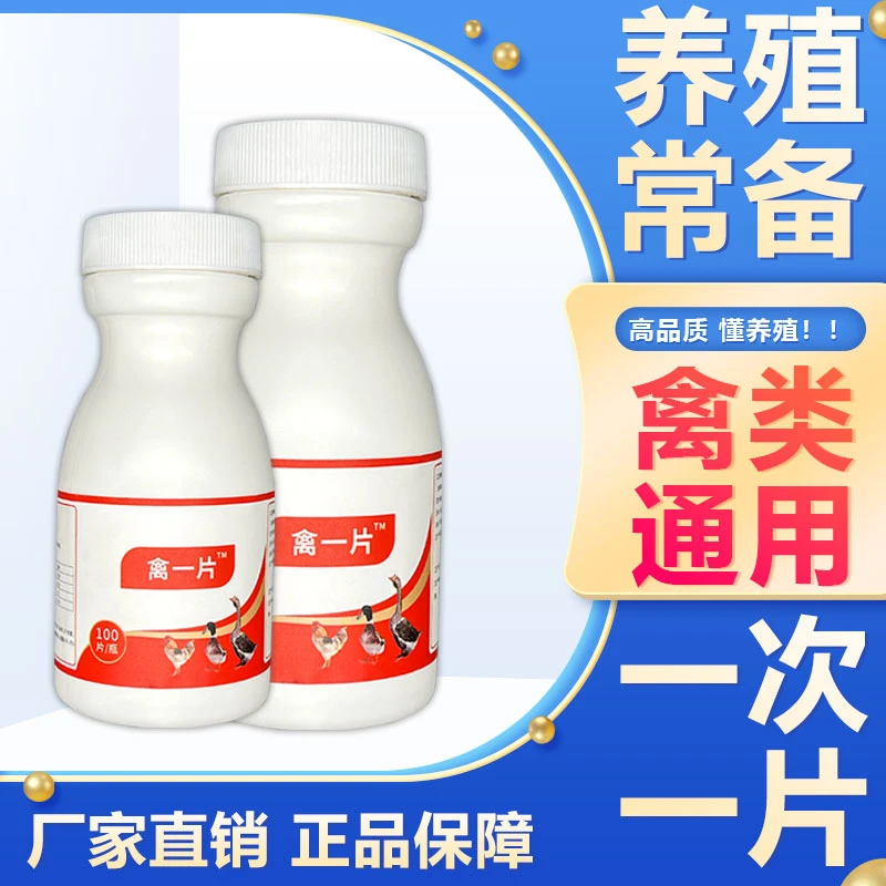 禽*一片鸡鸭鹅禽类养殖通用添加剂家禽常备厂家直销100片装