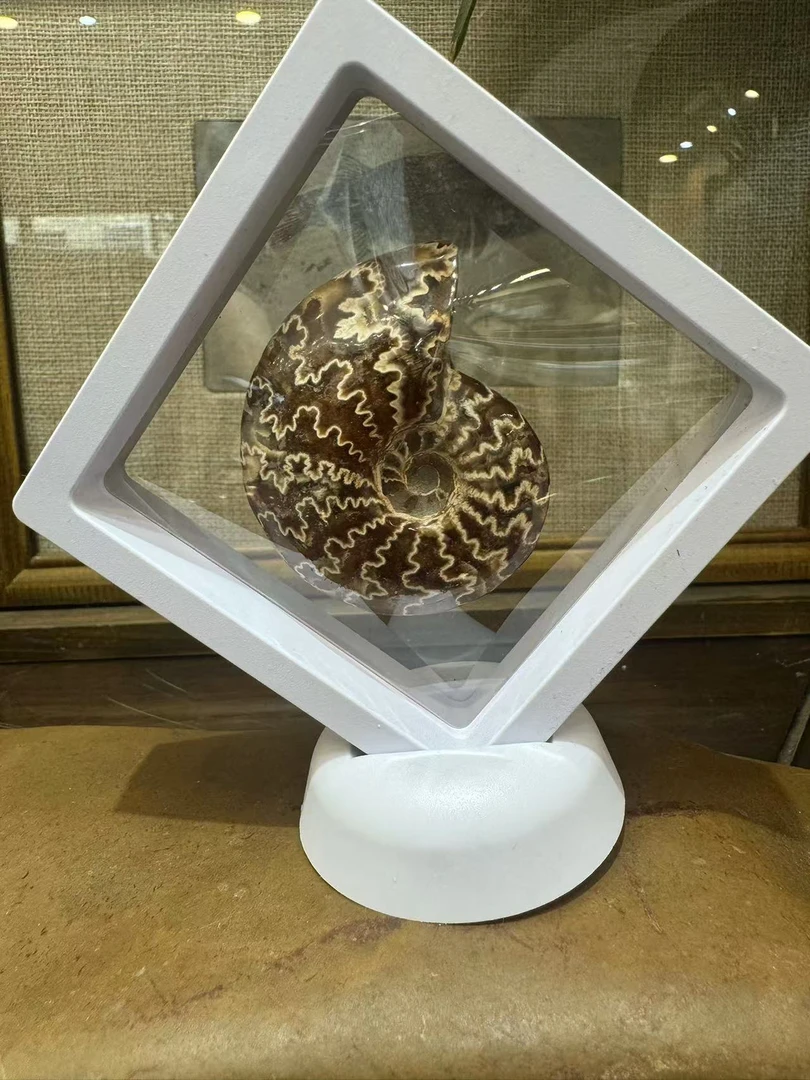 家居博古架 桌面摆件 丸子（直播专用勿乱拍）