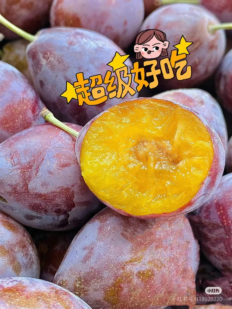新疆西梅甜/500克