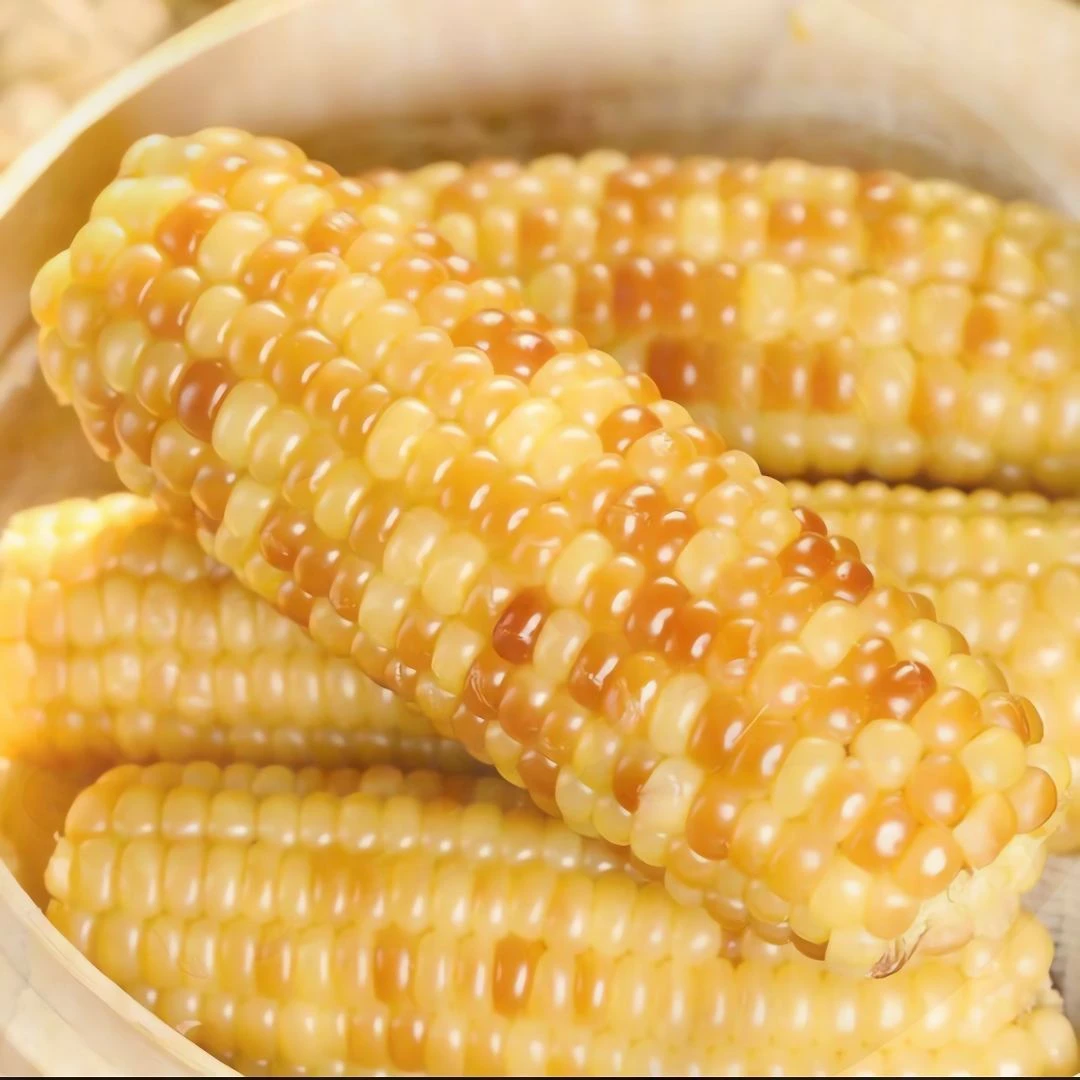西双版纳花糯玉米代餐免煮香糯开袋即食真空包装低卡低脂玉米饱满