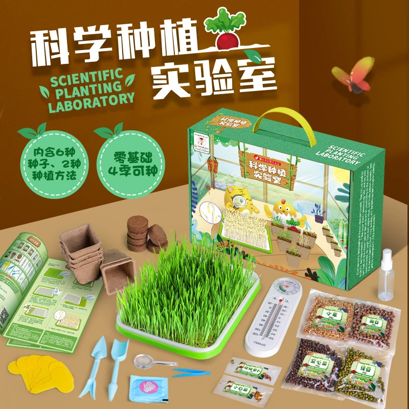 儿童种植观察种子发芽生长科学实验套装小学生探究盆栽种植玩具