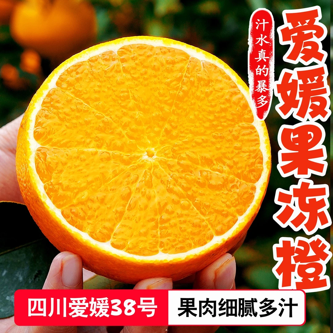 【次日达】四川爱媛果冻橙4.5斤装现摘现发皮薄肉厚