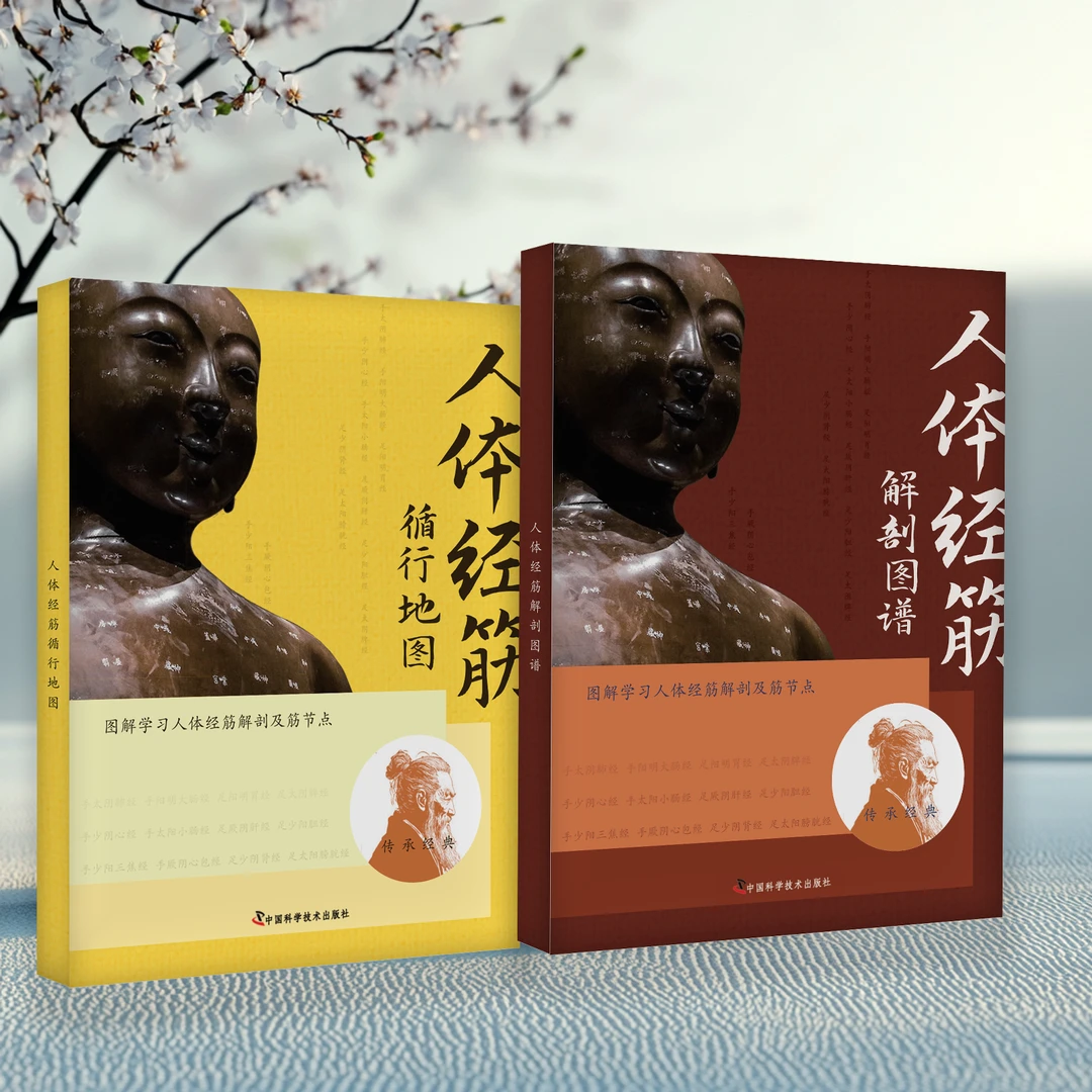 正版精装人体精筋循行地图 筋脉解剖 古法绝技 传承图解学习