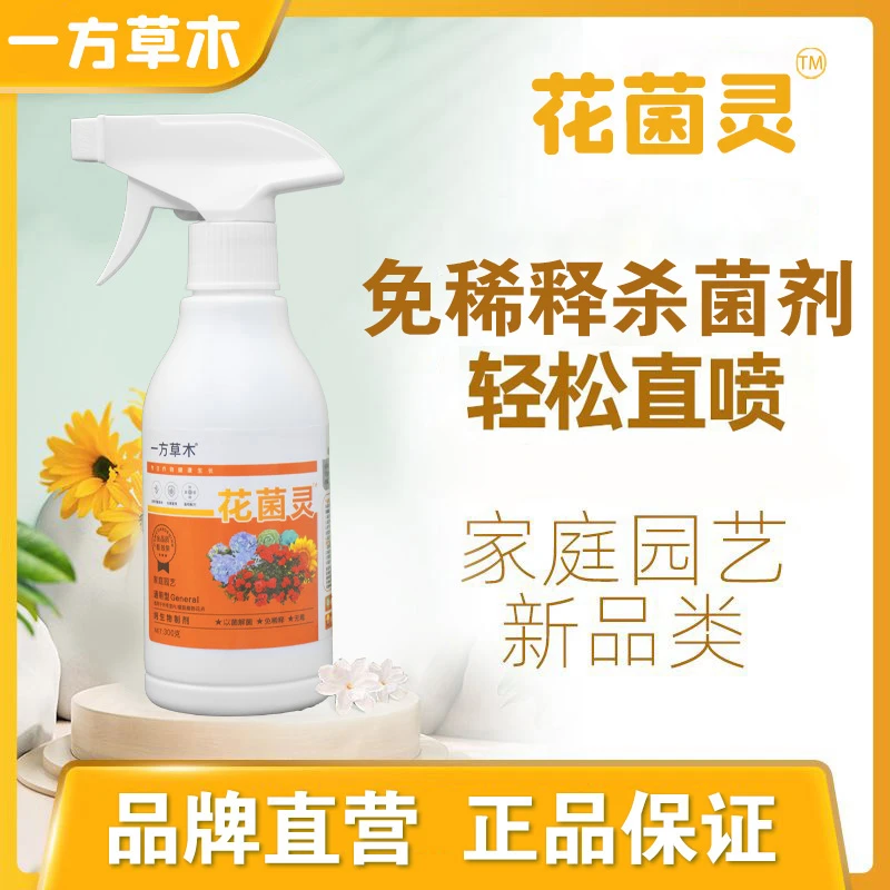 花菌灵免稀释直喷月季兰花茶花菌立清黑斑白粉炭疽枯叶园艺通用