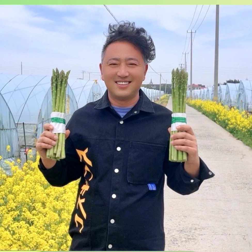 京东包邮 上海崇明大笋2斤 笋头1斤  新鲜绿芦笋  现货现发