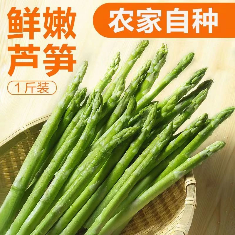 新人专享福利上海崇明芦笋绿芦笋中笋3斤龙须菜 现采现发顺丰包邮