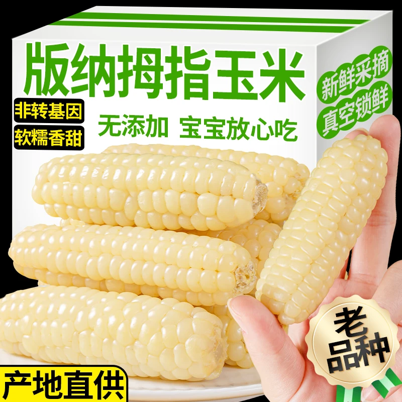 【只发A货】云南西双版纳糯香拇指小玉米手指玉米儿童早餐糯玉米