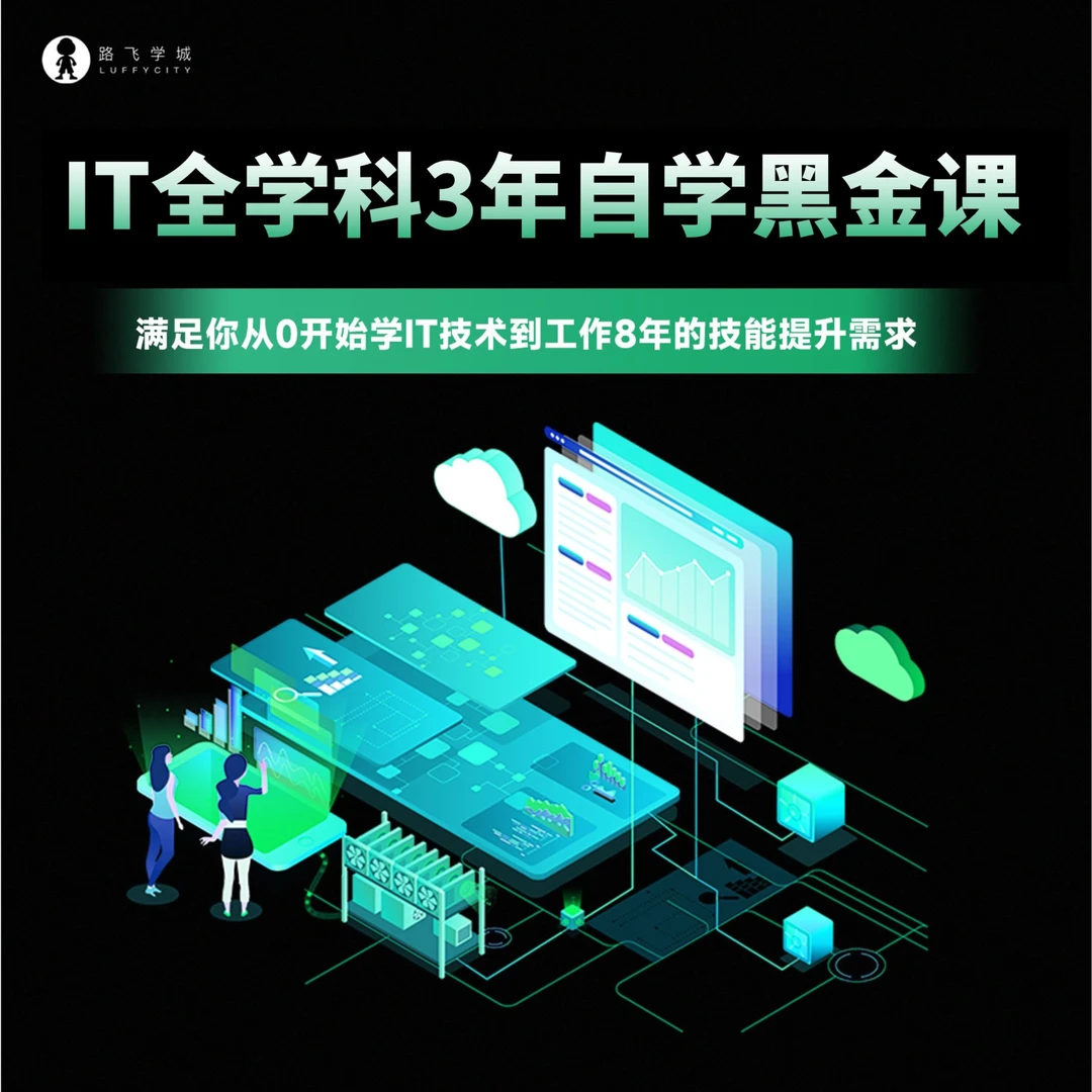 路飞学城全套实战黑金3年兑换码Python运维Java前端GO职场提升