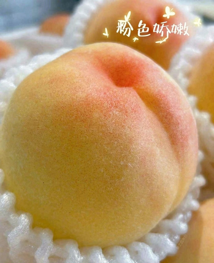 水蜜桃（切盒请备注）一个