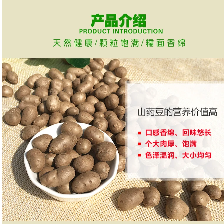 24年现摘河南焦作新鲜铁棍山药豆农家铁杆山药蛋冰糖葫芦用豆