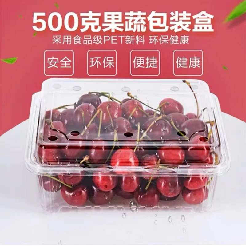 一次性水果盒加厚带盖带盖果切盒环保透明商用