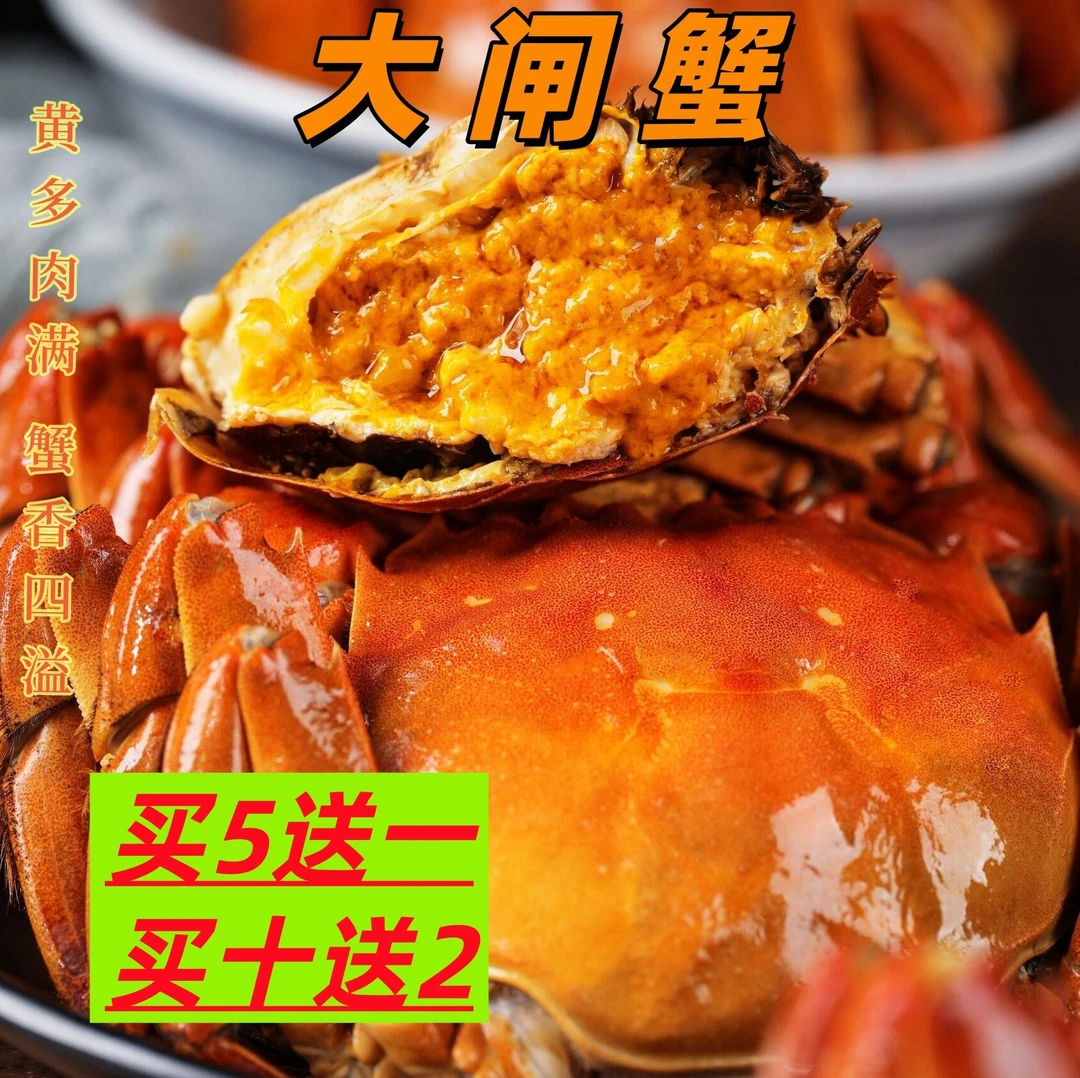 【2两母】3～12只装江苏精品大闸蟹（2.1-1.8两）