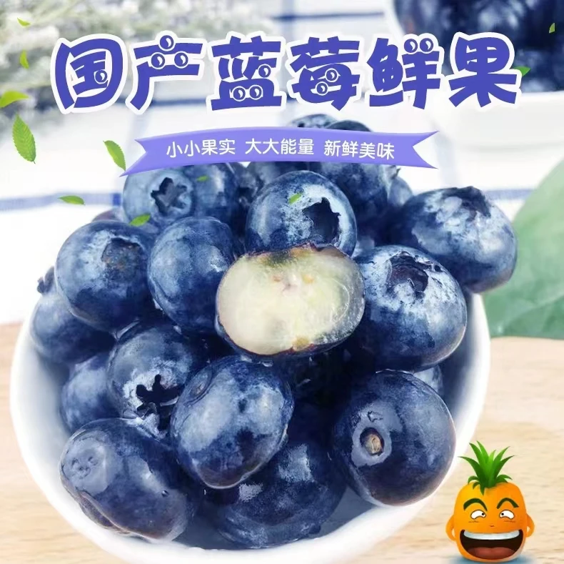 花香25号云南蓝莓产地直发顺丰空运包邮新鲜蓝莓