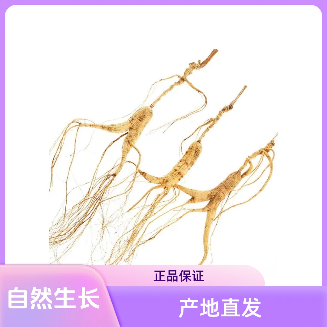 【非野山参】正宗高龄长白山林下山参东北人参干参东北林下参