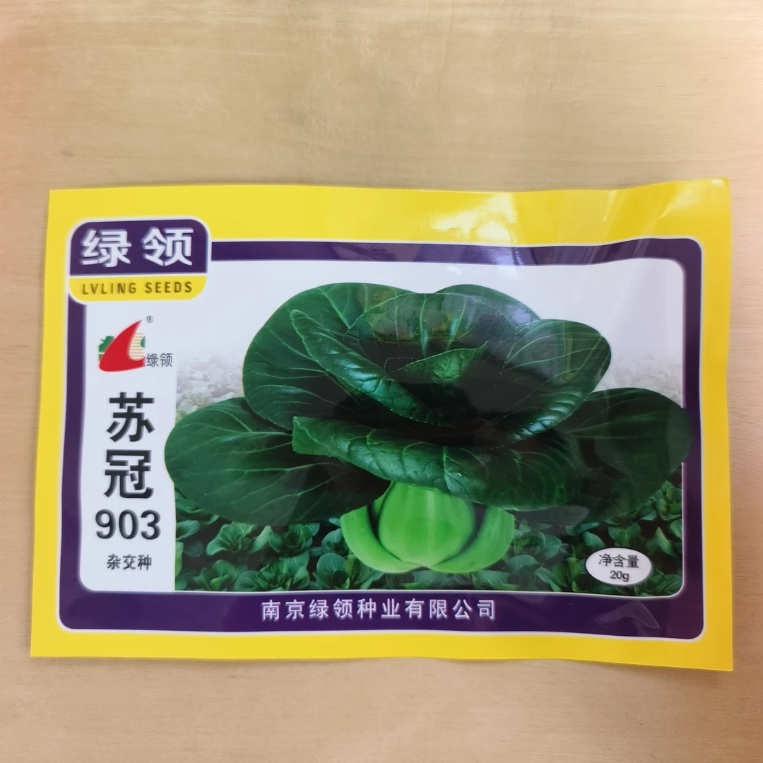 绿领苏冠903特矮脚苏州青种子耐寒抗病特矮株型束腰四季青菜种籽