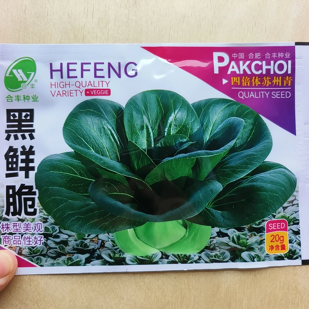 黑鲜脆青菜种子四倍体苏州青种籽秋冬耐寒菜种早春菜苔种籽孑原装