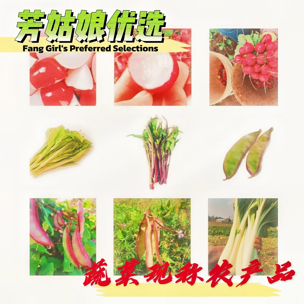 芳姑娘蔬菜现称农产品湖北监利