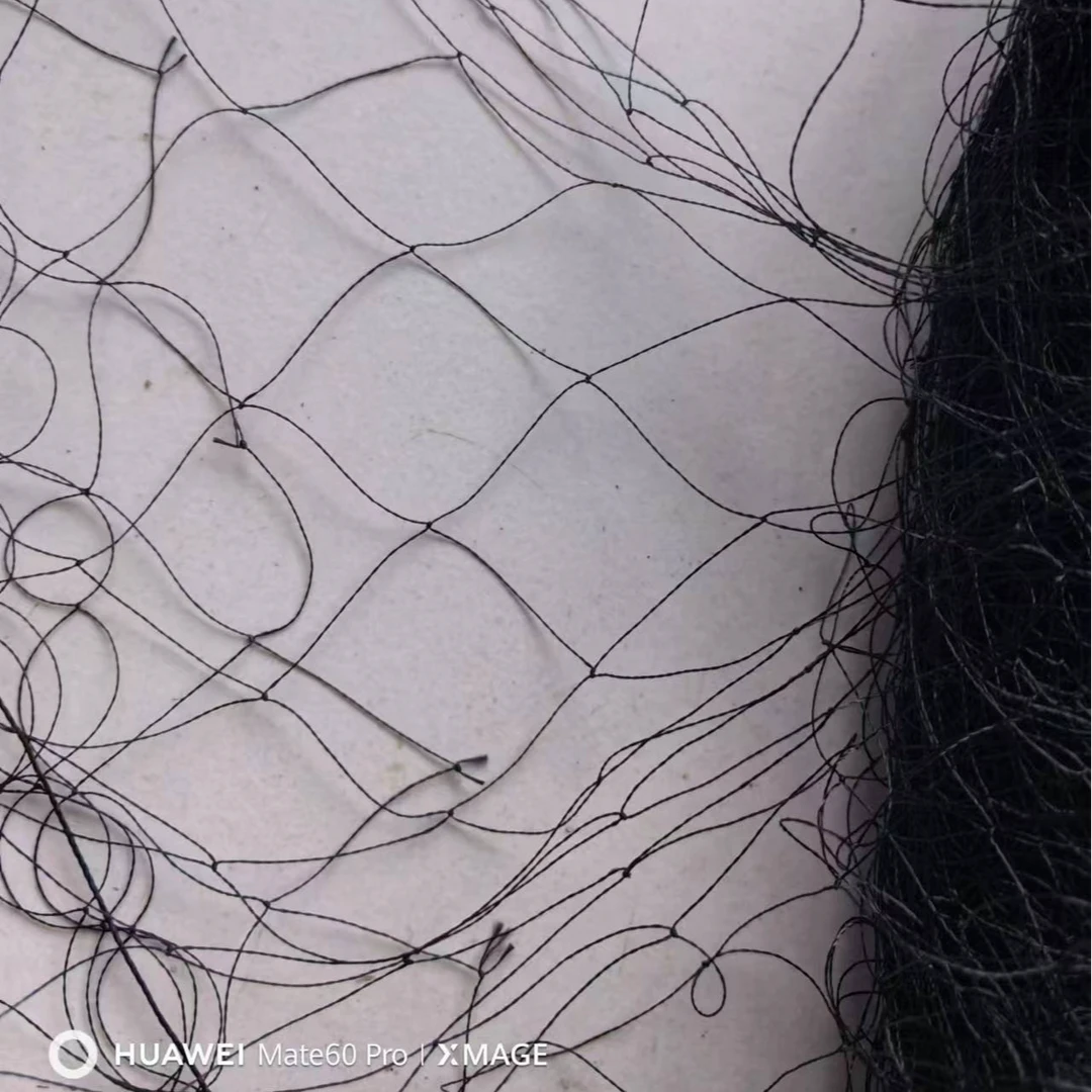 2.5指丝线尼龙线防风防鸟网防护网（八，画，鹌）