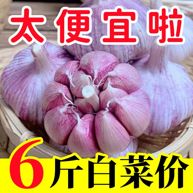 【太便宜啦】山东紫皮大蒜头干蒜5斤新鲜精品大蒜新干蒜头100g批发