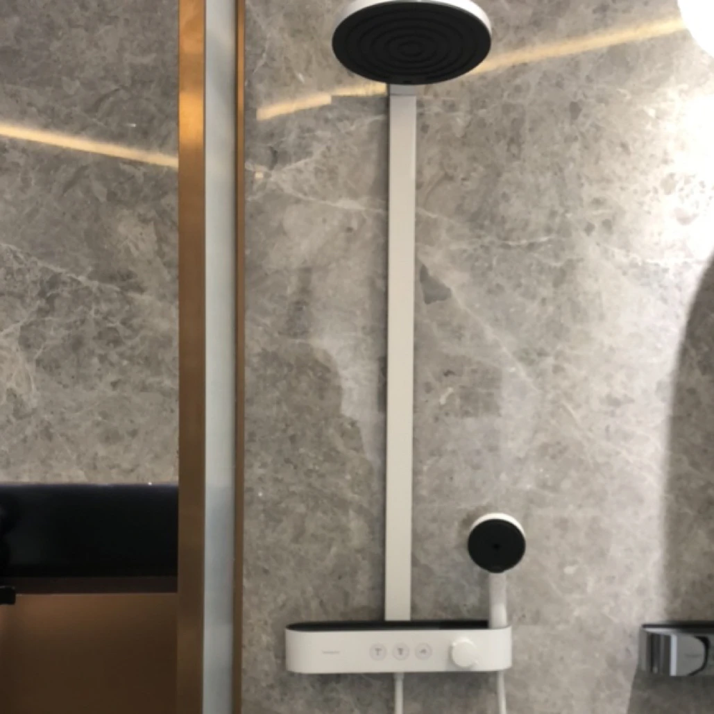 进口沛适飞S淋浴管260两速带恒温花洒龙头24241707