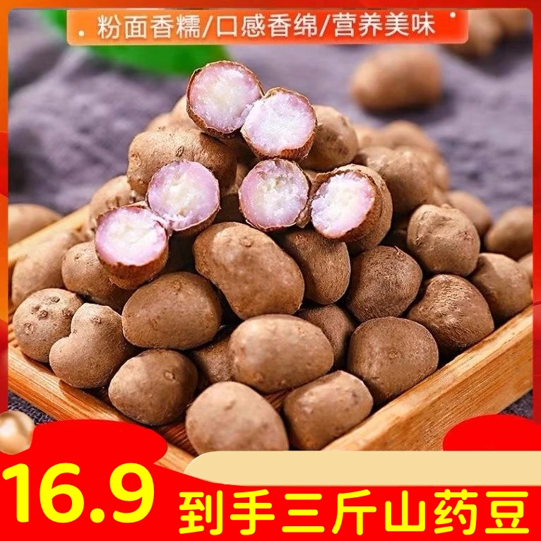 立减二十】山药豆新鲜正宗品当季小白嘴山药豆 特大果糖葫芦山药豆