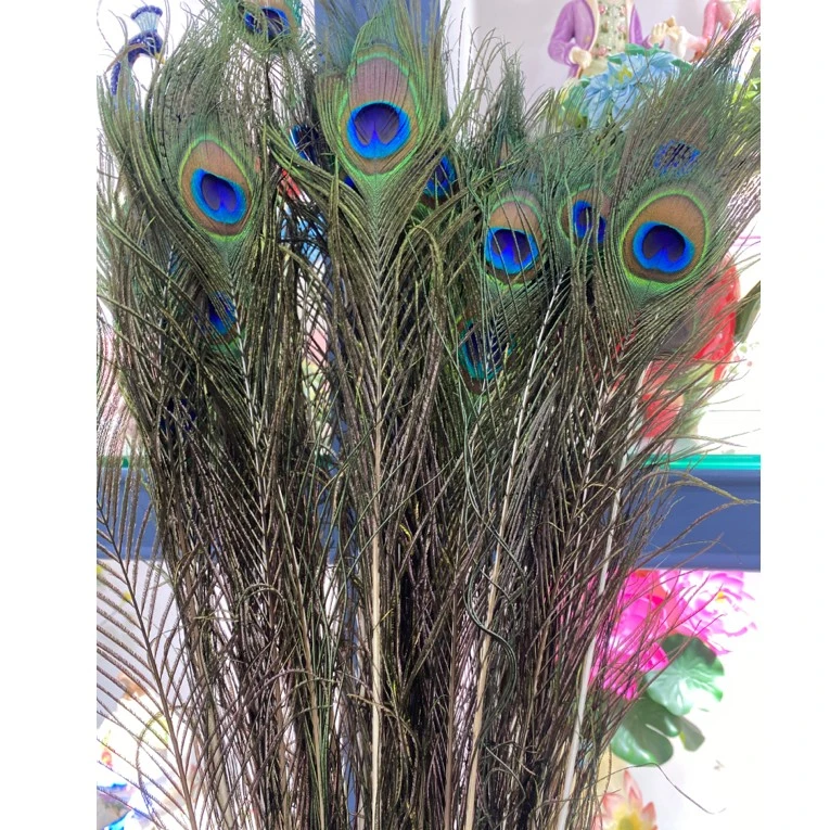 装饰孔雀羽毛干花婚庆插花家居摆件客厅摆设婚庆花瓶饰品孔雀尾翎