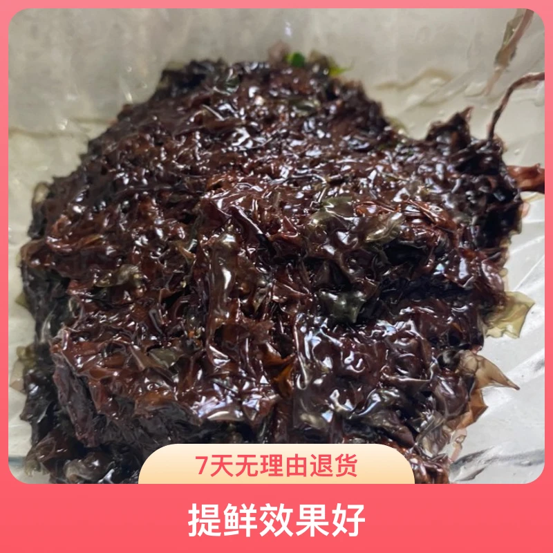 【二姐活动】岛里新鲜野生头水海紫菜（冻发）煲汤炖煮提鲜3斤