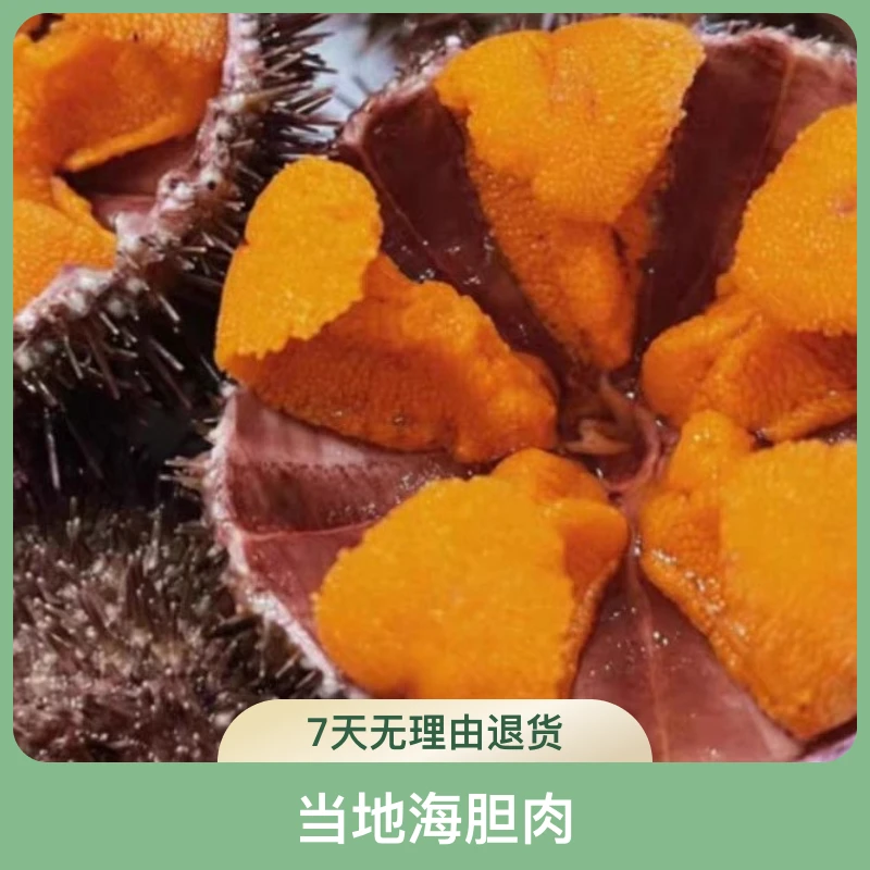 【二姐推荐】岛里当地海胆肉（不可生吃）真海胆非蛋黄（南方冷链）