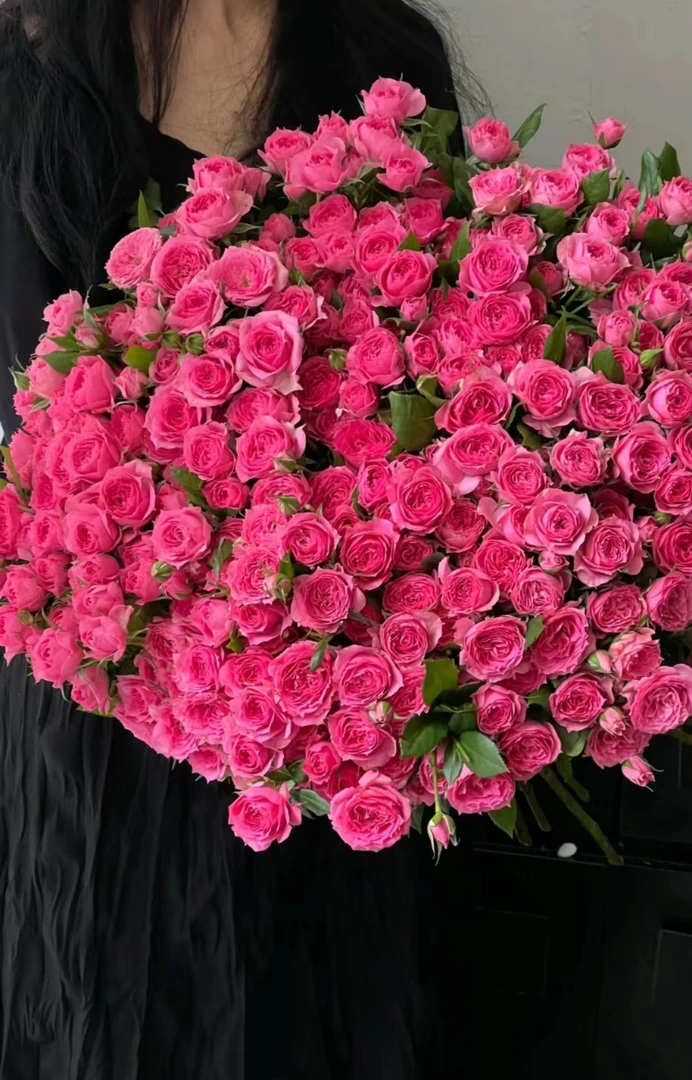 【牛牛甄选】AA苏菲宝贝玫瑰 云南基地现采现发 一单顺丰包邮