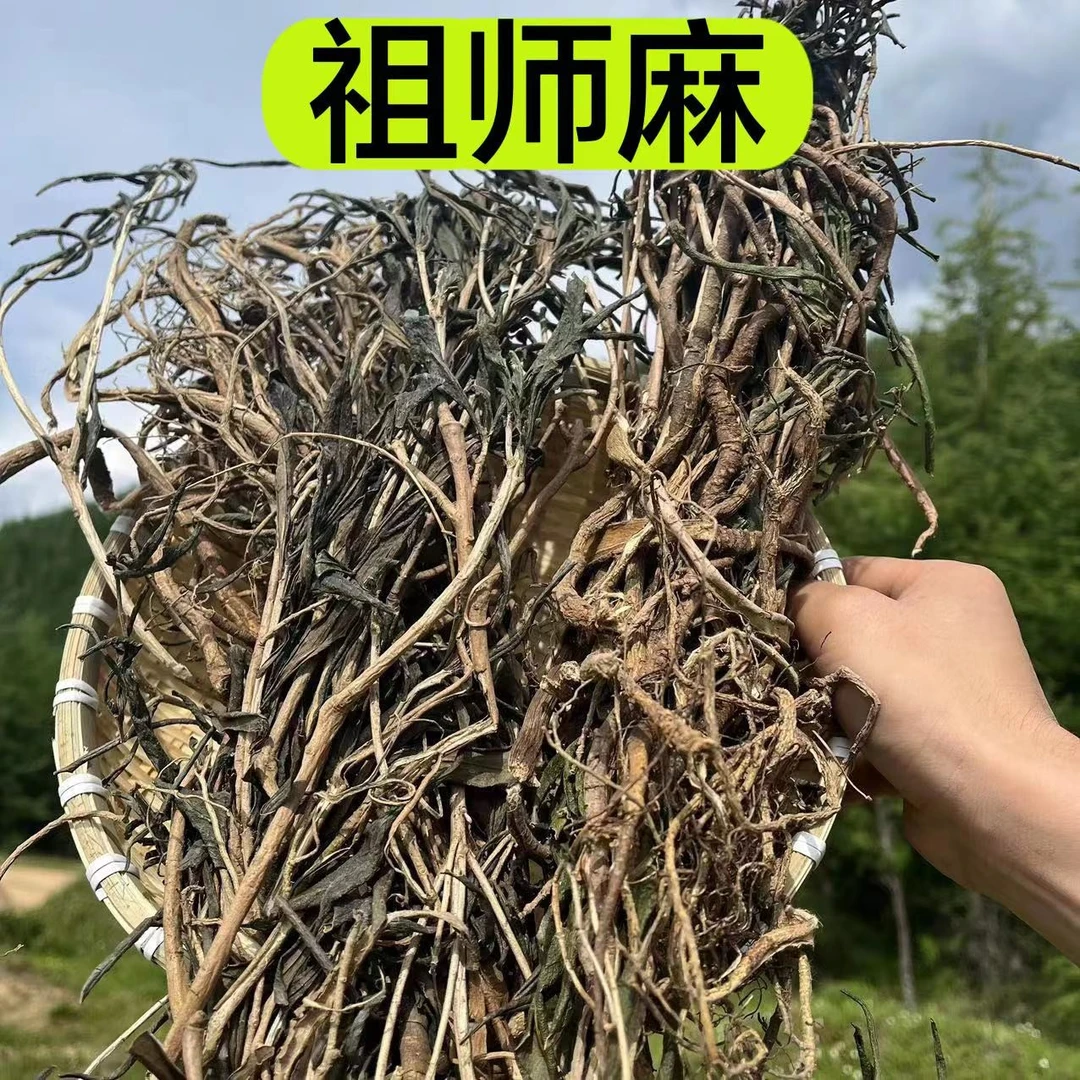 【祖师麻】甘肃大山里边采挖 无熏无硫桔梗自然晒干祖师麻250克