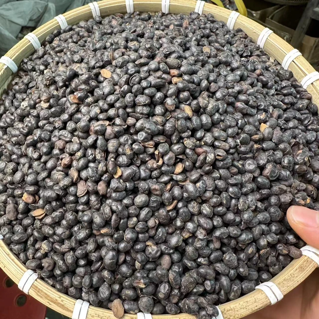【淡豆豉】 栀子豆豉汤 豆豉 淡豆豉 250克