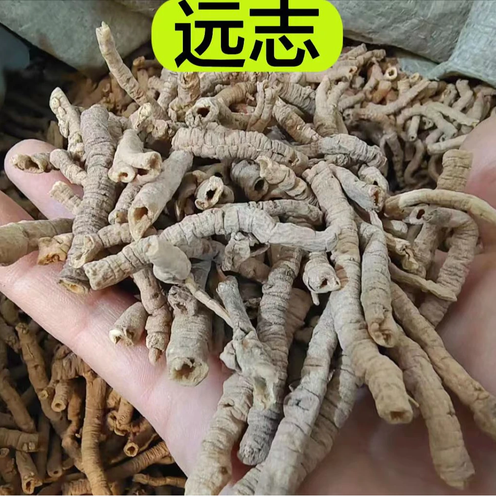 [远志]  甘肃产远志 大条精选去芯远志 搭配党参茯苓 包邮100克