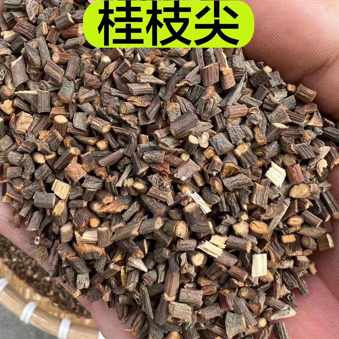 【桂枝尖】精选桂枝尖  正品桂枝  250克包邮参